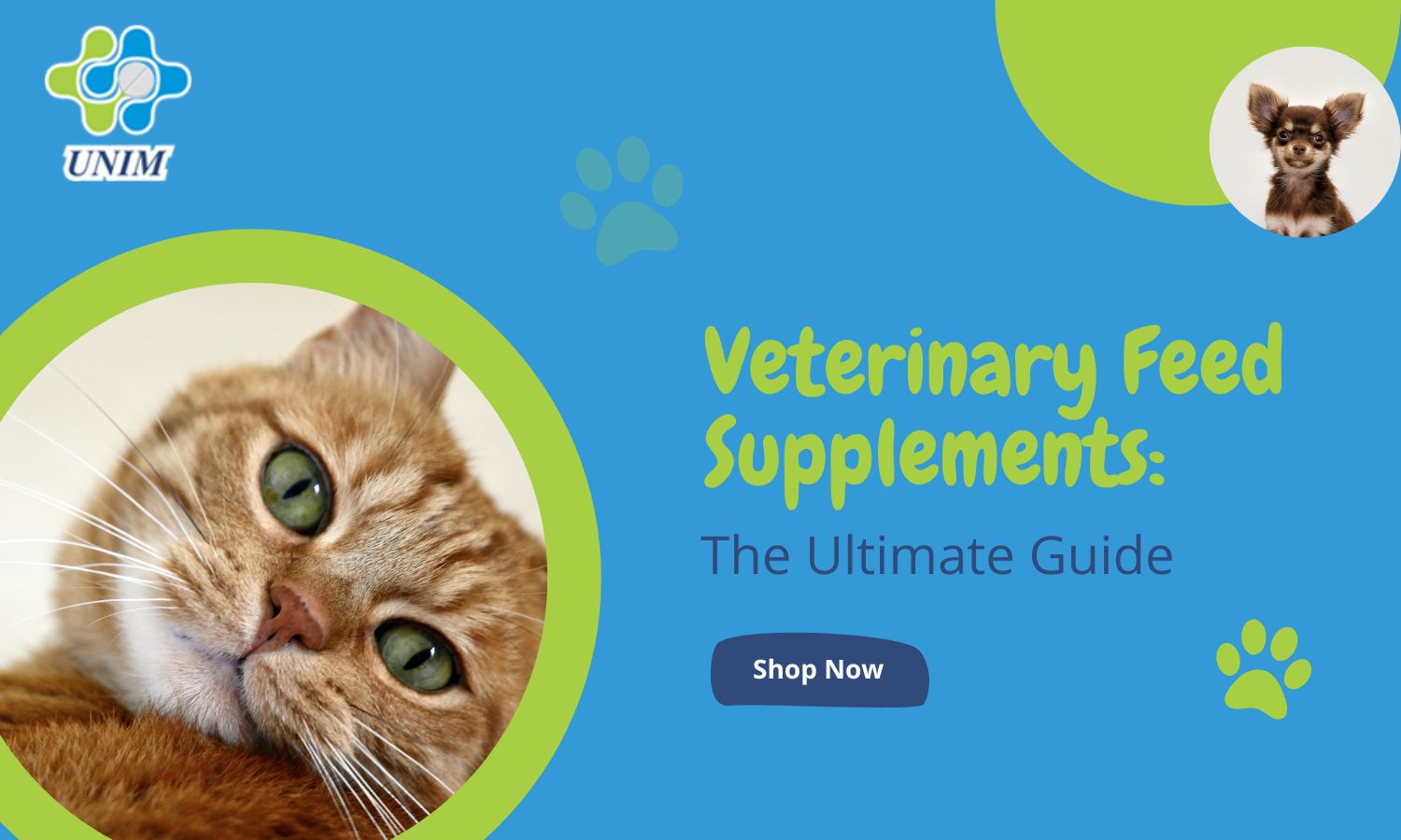 Veterinary Feed Supplements: The Ultimate Guide