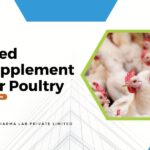 feed supplement for poultry