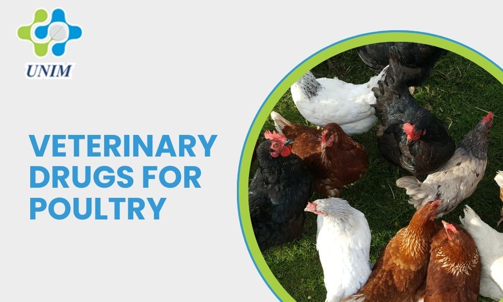 Veterinary Drugs For Poultry