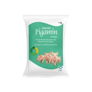 Pigamin
