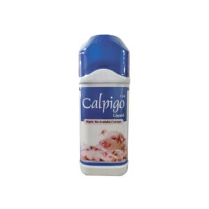 Calpigo