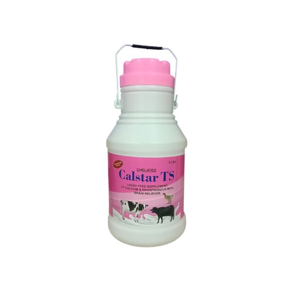 Calstar TS