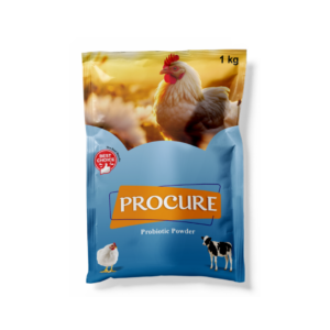 Procure