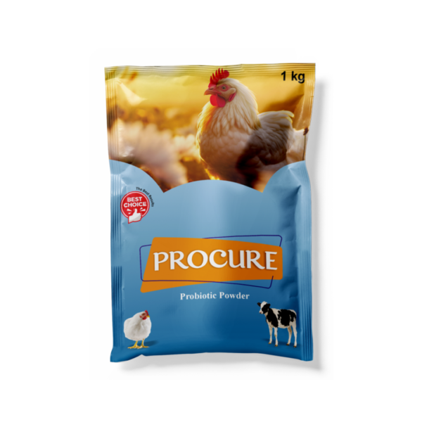 Procure