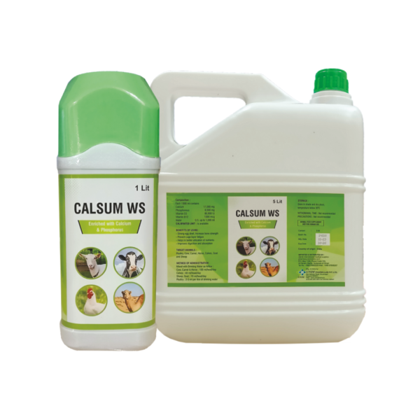 Calsum ws