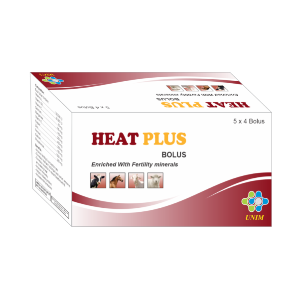 Heat Plus