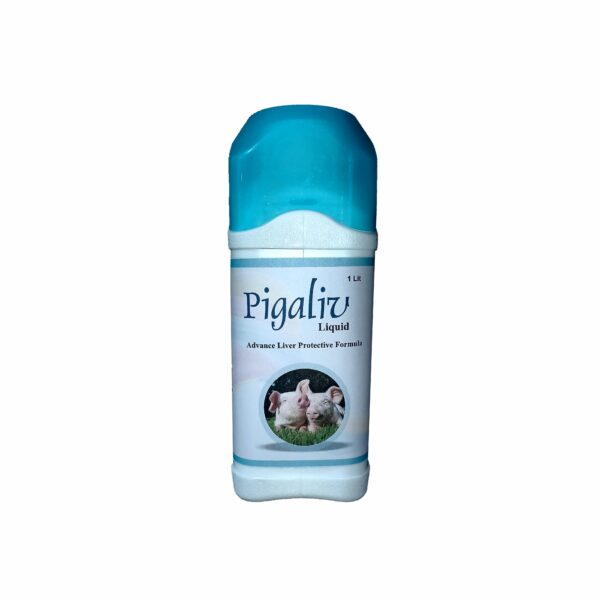 Pigaliv