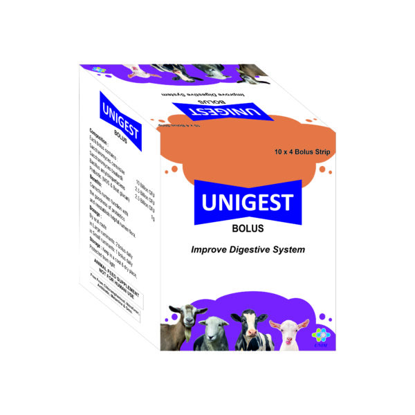 Unigest