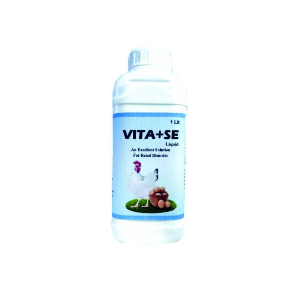 Vita+SE