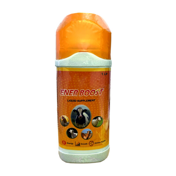 Enerboost