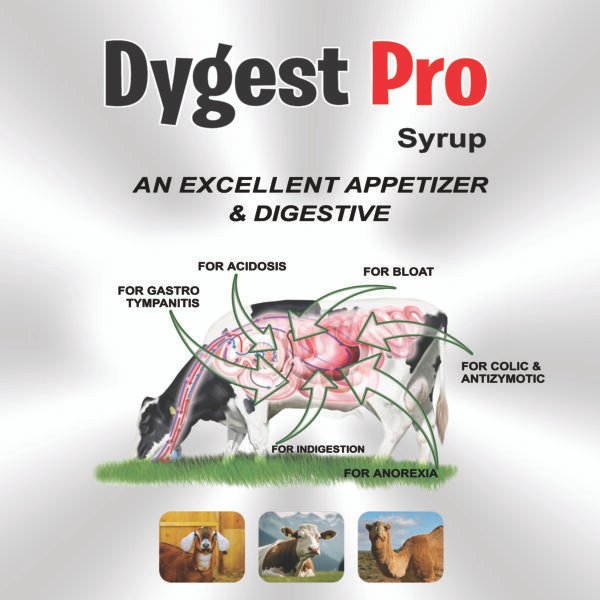 DYGEST PRO