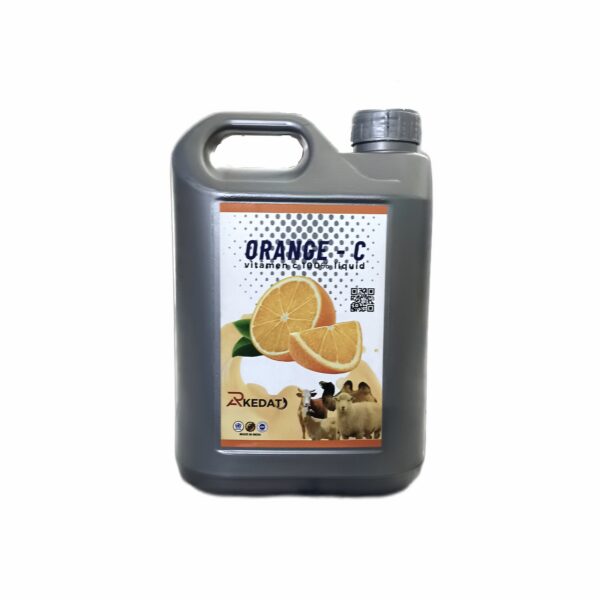 ORANGE -C - Image 2
