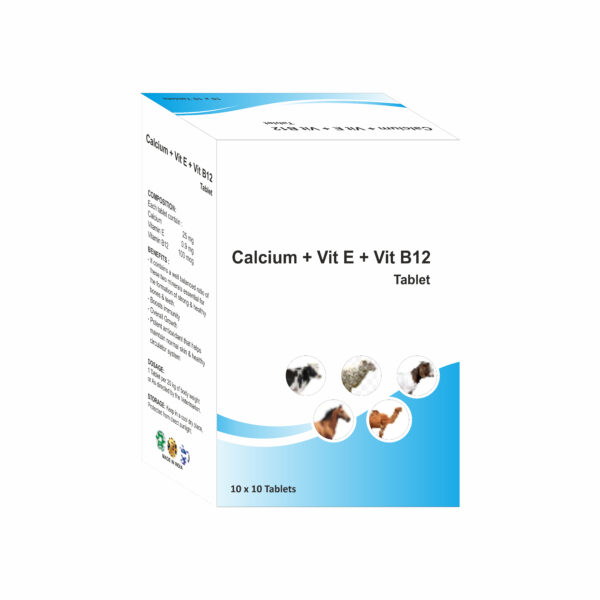 Calcium + Vit E + Vit B12 Tablet