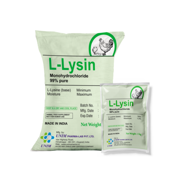L - Lysin