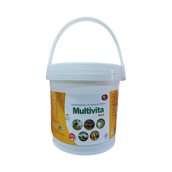 Multivita Bolus