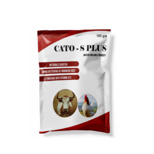 Cato - S Plus