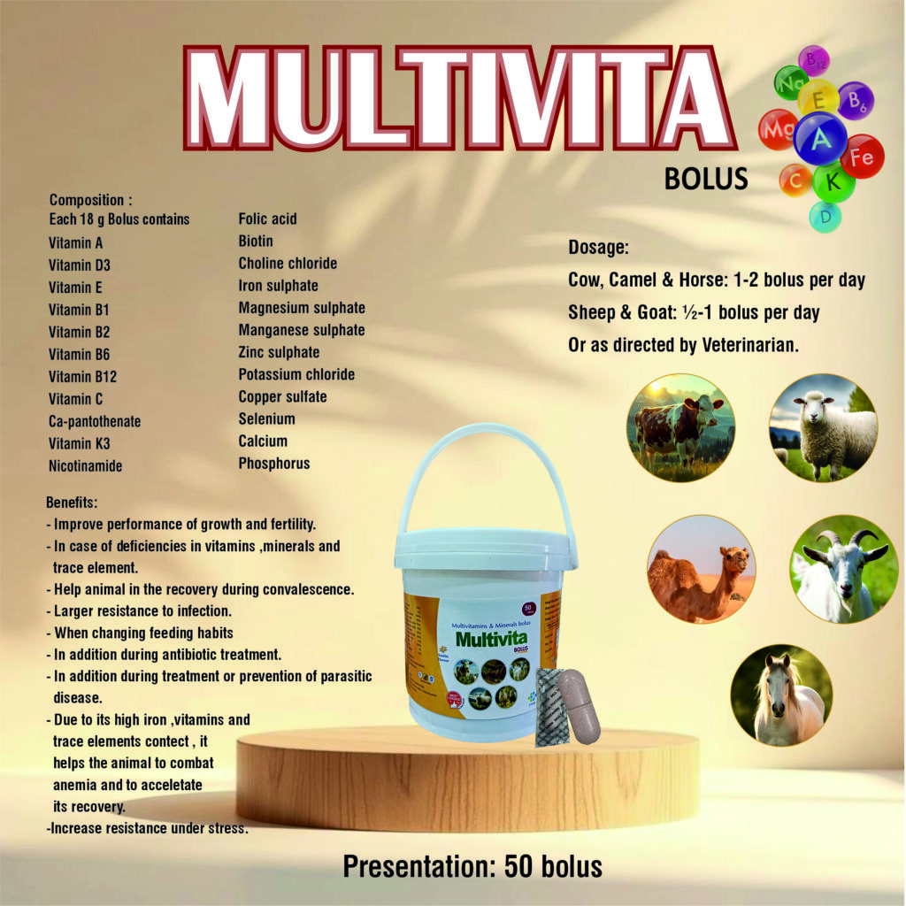 This image has an empty alt attribute; its file name is webstie-post.cdr-588-2-1024x1024.jpg