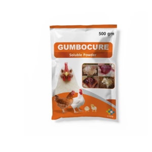 Gumbocure