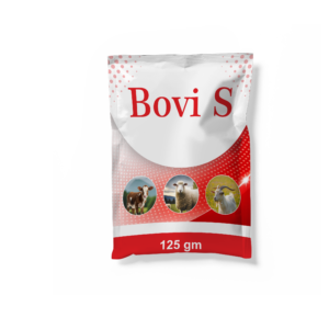 Bovi S